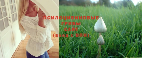 a pvp Вязники