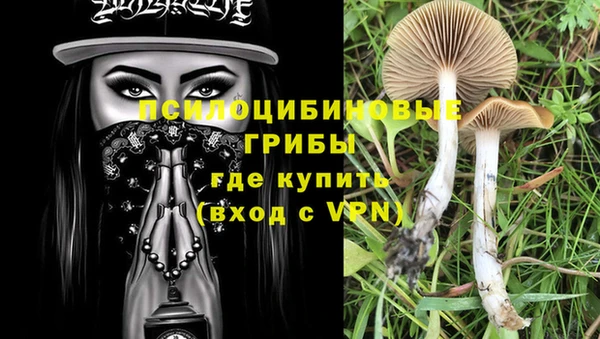 тгк Абдулино