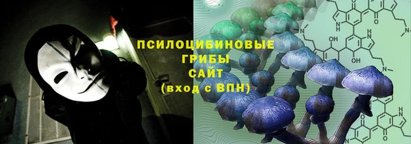мдпв Нефтегорск