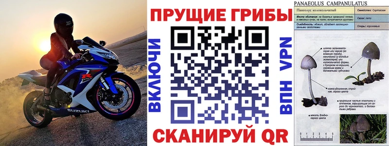 блэк спрут tor  Усолье  Псилоцибиновые грибы Cubensis  нарко площадка какой сайт  что такое  